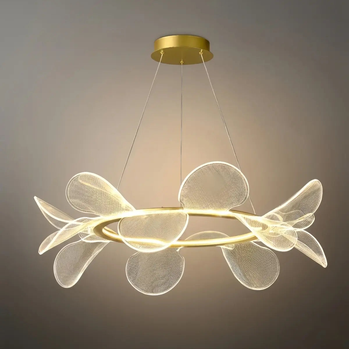 Modern Acrylic Chandelier